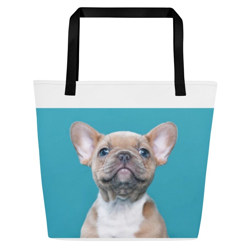 Ranskanbulldoggi kassi