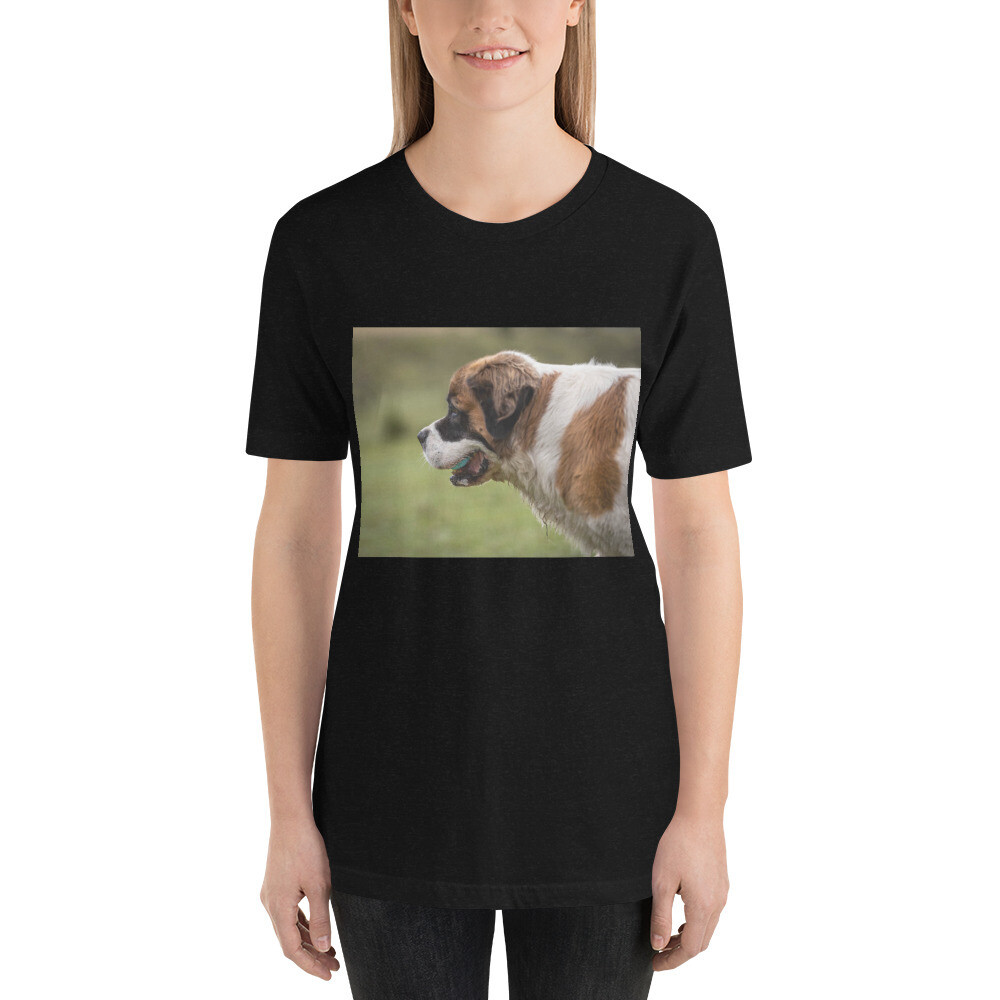T-paita bernhardinkoira