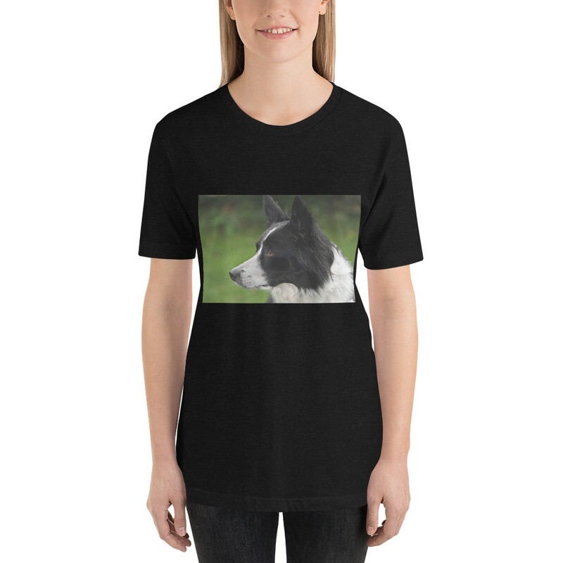 T-paita bordercollie