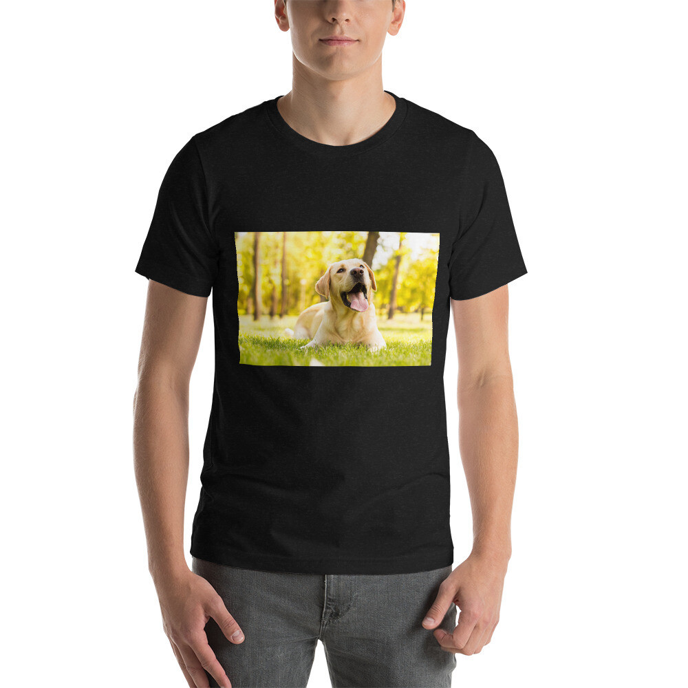 T-paita labradorinnoutaja, Väri: Musta, Koko: XS