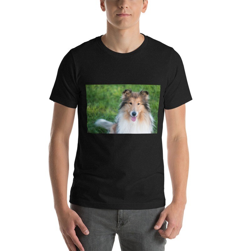 T-paita collie