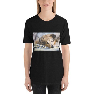 T-paita shetlanninlammaskoira