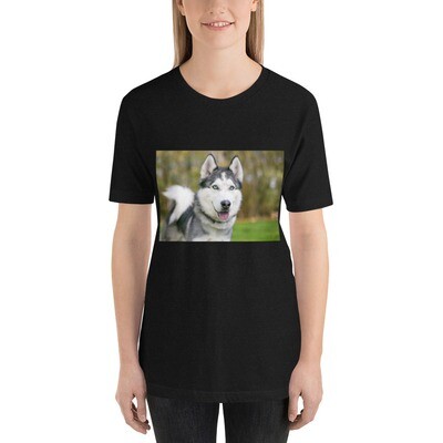 T-paita siperianhusky