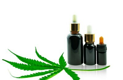 Where does CBD come from?