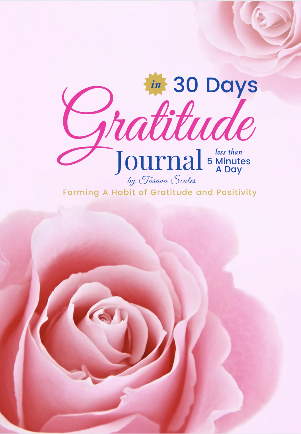 Gratitude Journal 30 Days (Pink)