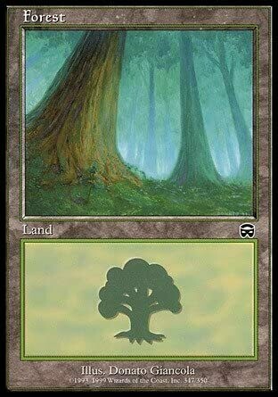Forest - Artist Proof - Mercadian Masques