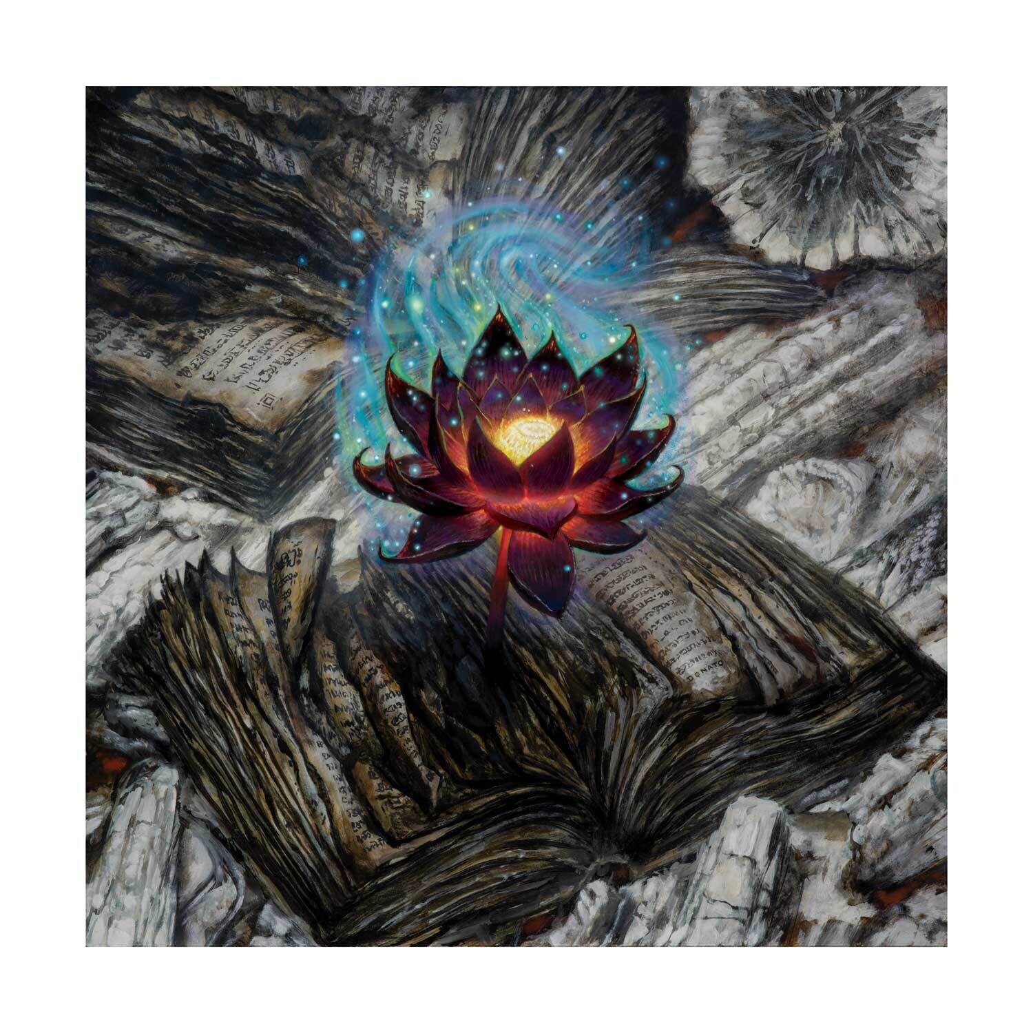 Scorched Lotus