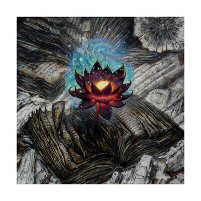 Scorched Lotus