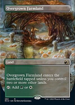 Overgrown Farmland - Artist Proof - FOIL - Innistrad - Midnight Hunt