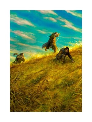 Search in Rohan