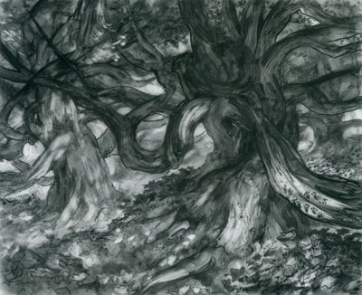 Forest - Greenwood the Great - preliminary