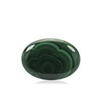 60.45ct Congo Bullseye Malachite (N)