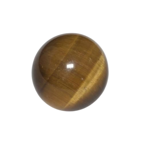 Tiger eye , calibrated round cab natural 8mm