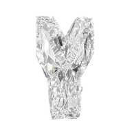 Letter Y Shape.50ct