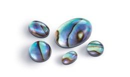 Abalone