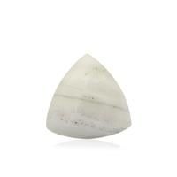 3.28ct Howlite (N)10mm Trillion