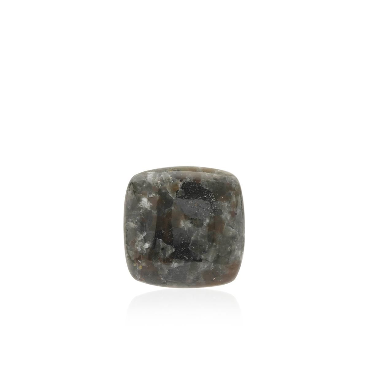 25.13ct Yooperlite (N)