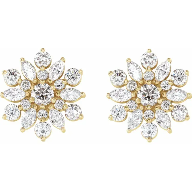 14K Yellow Gold 14K Yellow Gold 1 CTW Natural Diamond Earrings