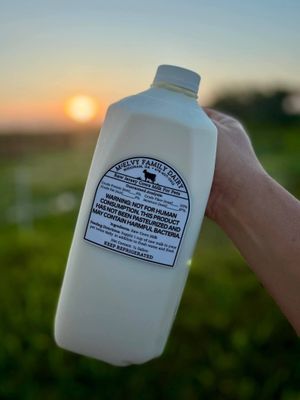 **Pre-Order Only**  Raw Cow's Milk - 1/2 Gallon
