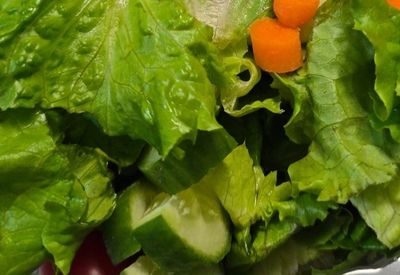 Salad - Tossed Veggie Salad - Large