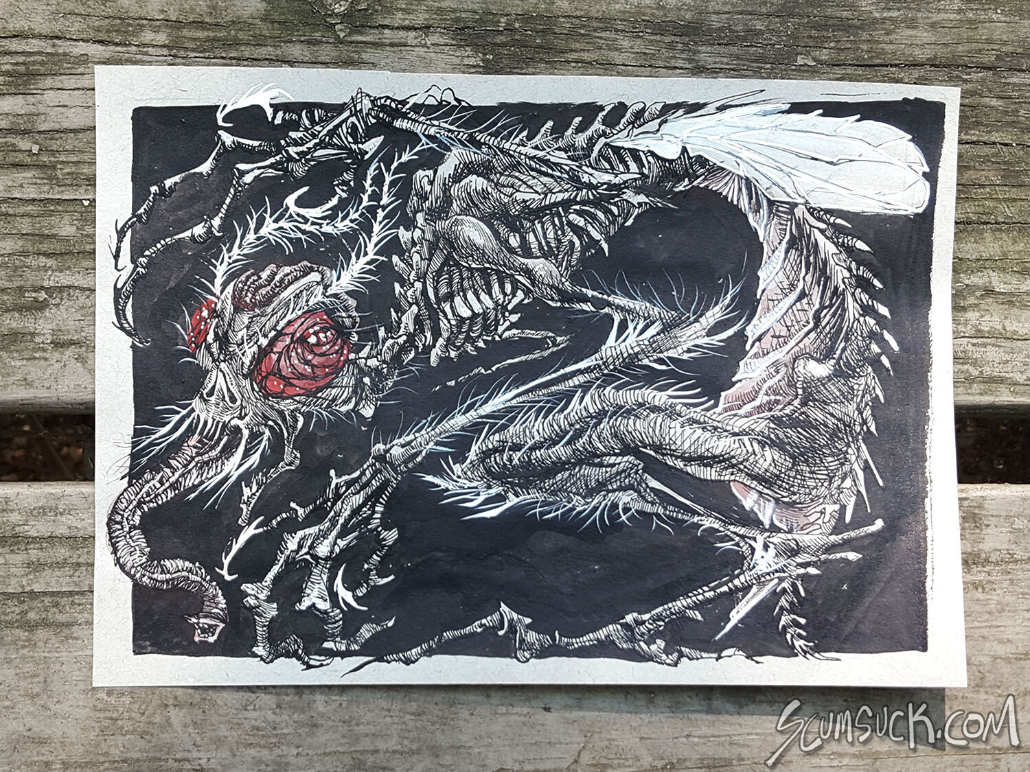 FLY: 6x9 ink drawing