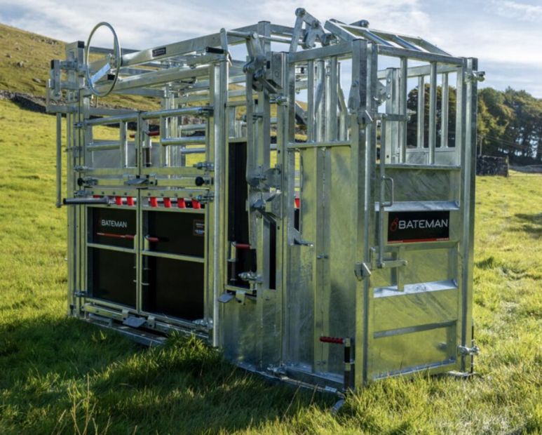 BATEMAN Ambassador Squeeze Crush