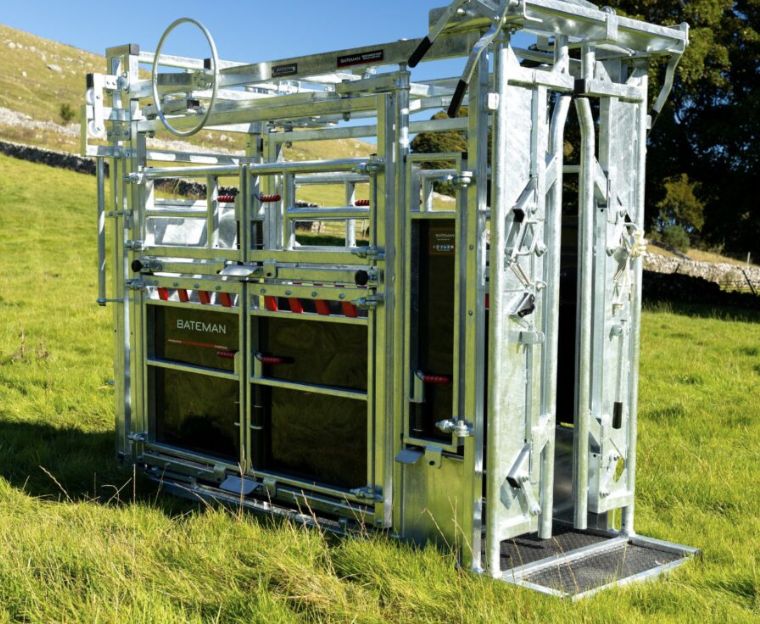 BATEMAN Devon Squeeze Crush