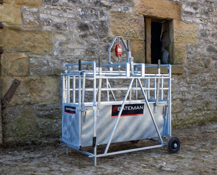 BATEMAN Lamb Weigher
