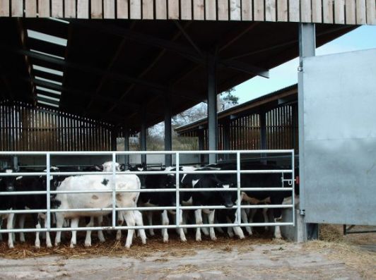 BATEMAN Galvanised Ashcombe Gates (3ft-16ft)