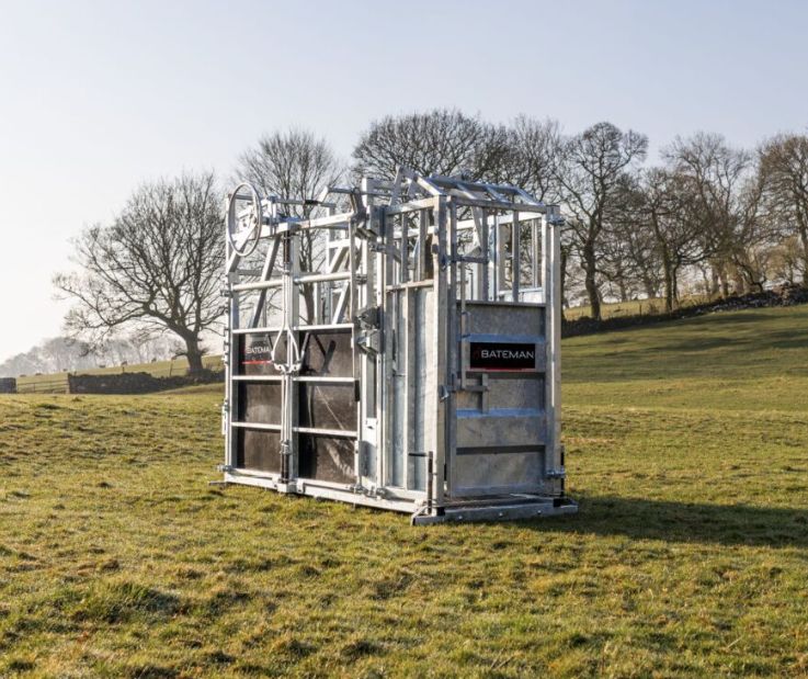 BATEMAN Ambassador Clipping Crush