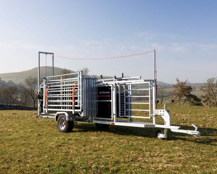 BATEMAN Sheep Handling Trailer