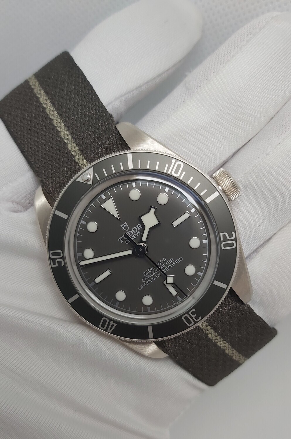 Tudor Black Bay 58 - 925 Silver - 79010SG - 2021