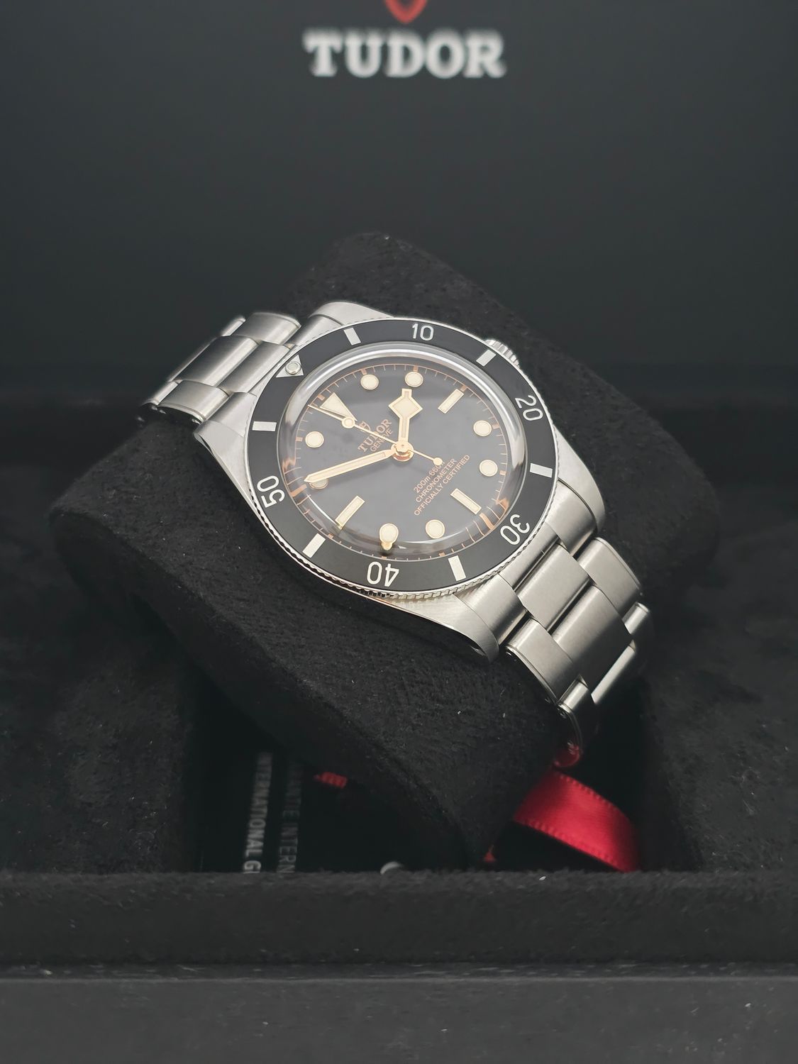TUDOR Black Bay 54 Black Watch - 79000N, 2025 Full Set, Virtually Unworn