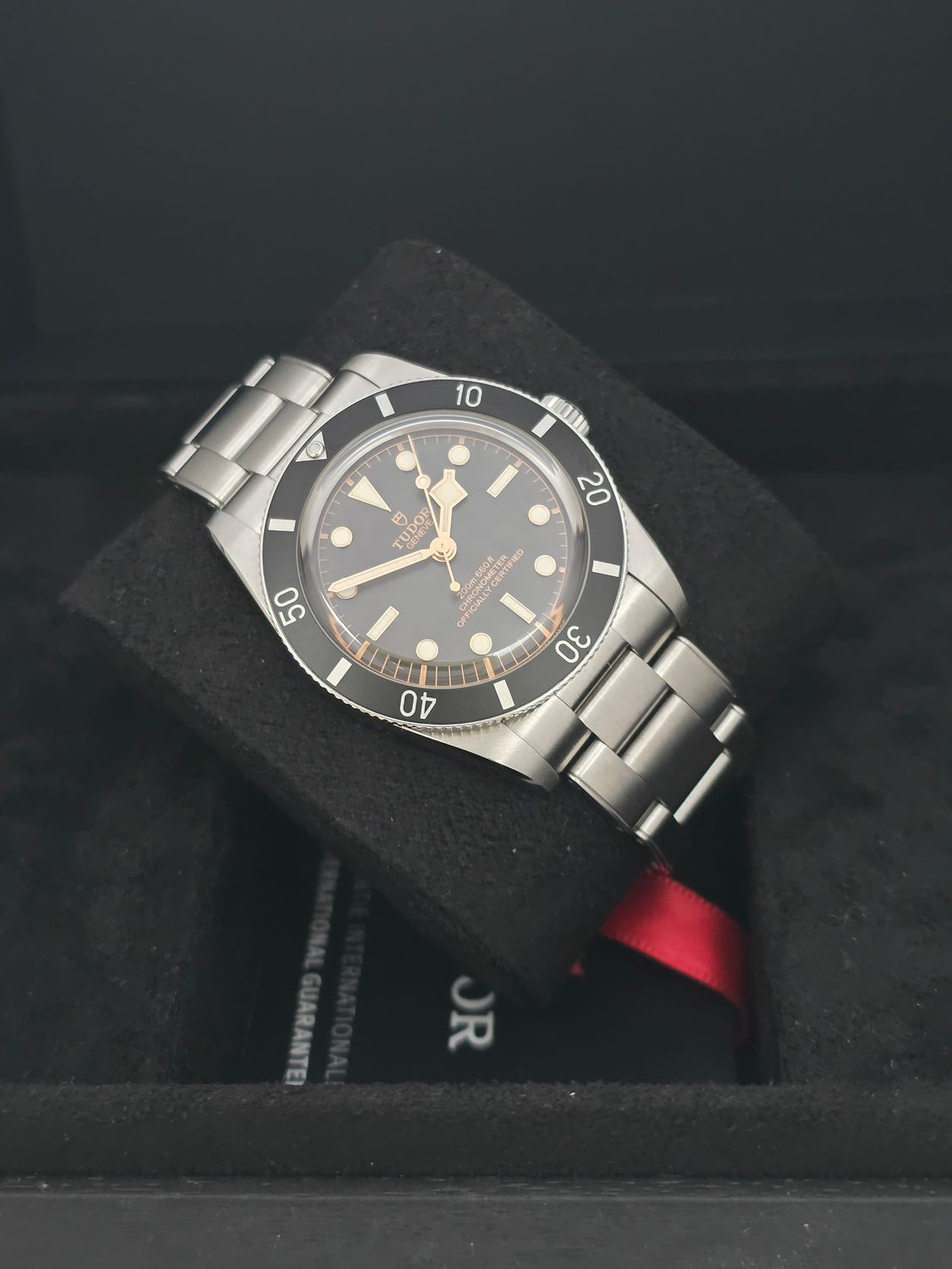 TUDOR Black Bay 54 Black Watch - 79000N, 2025 Full Set, Virtually Unworn