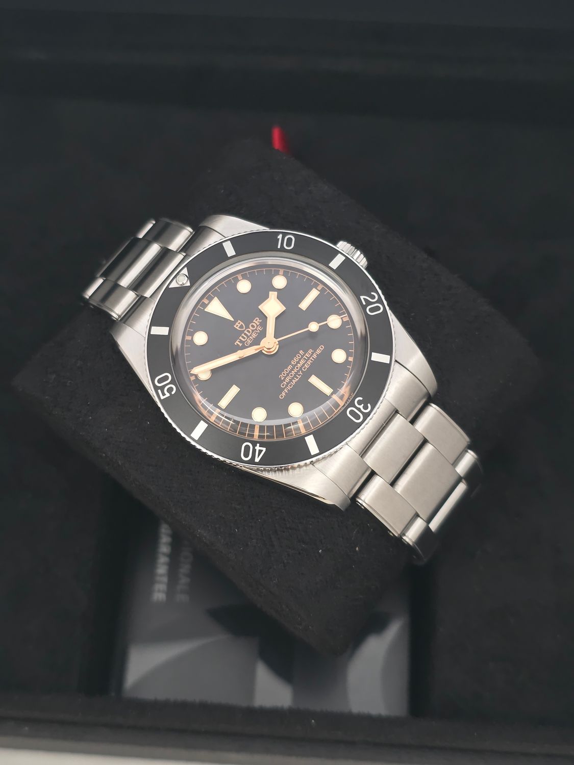 TUDOR Black Bay 54 Black Watch - 79000N, 2025 Full Set, Virtually Unworn