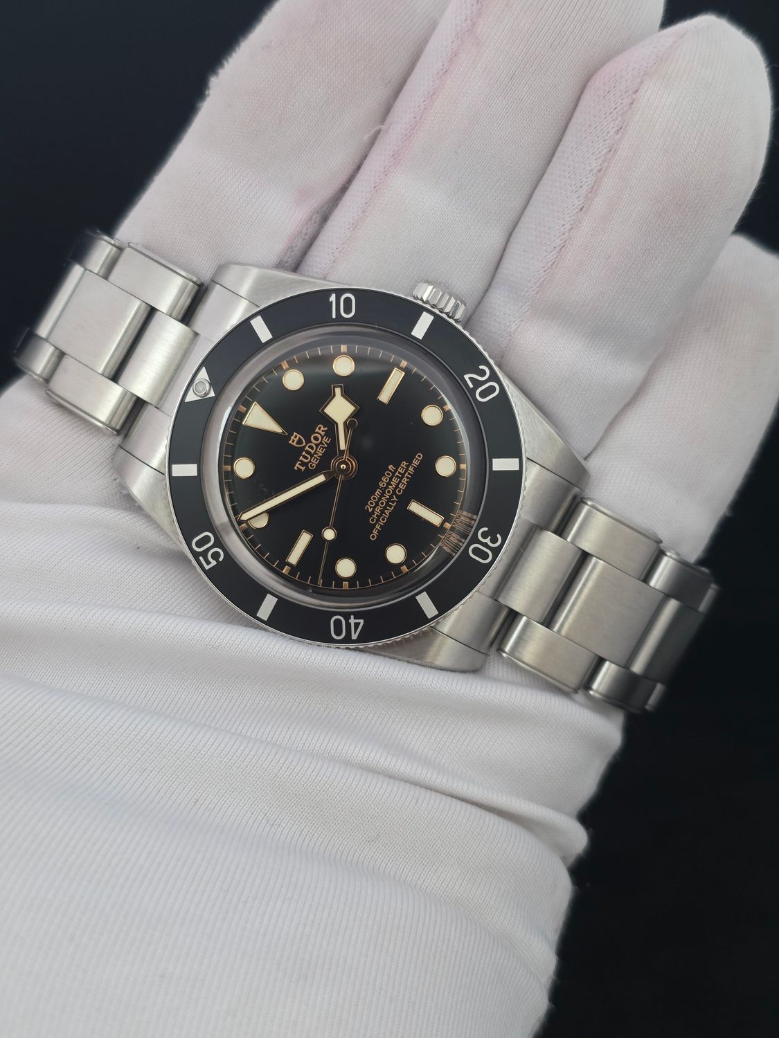 TUDOR Black Bay 54 Black Watch - 79000N, 2025 Full Set, Virtually Unworn