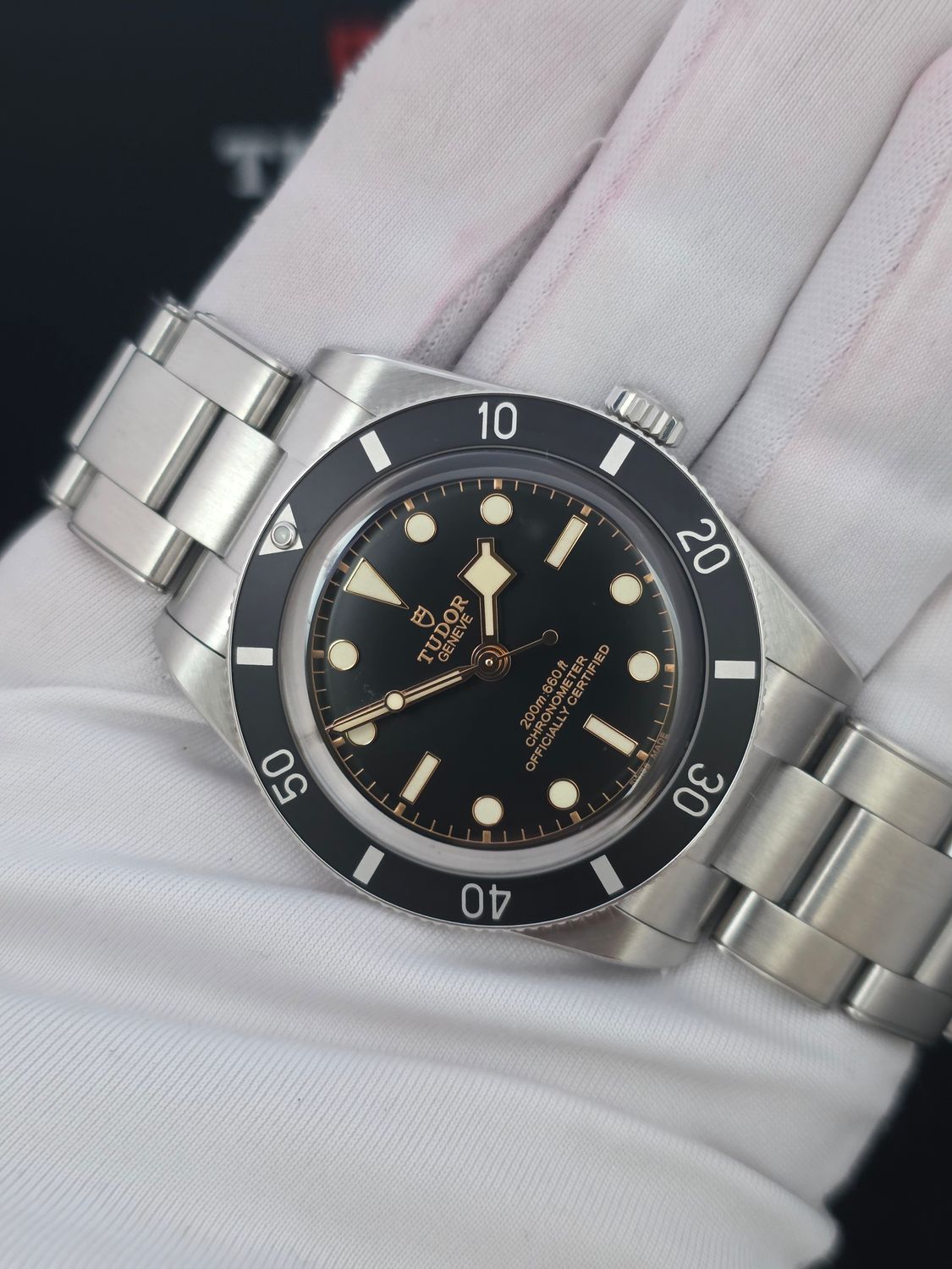 TUDOR Black Bay 54 Black Watch - 79000N, 2025 Full Set, Virtually Unworn