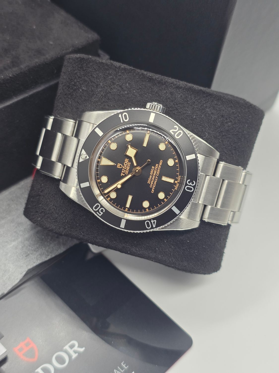 TUDOR Black Bay 54 Black Watch - 79000N, 2025 Full Set, Virtually Unworn