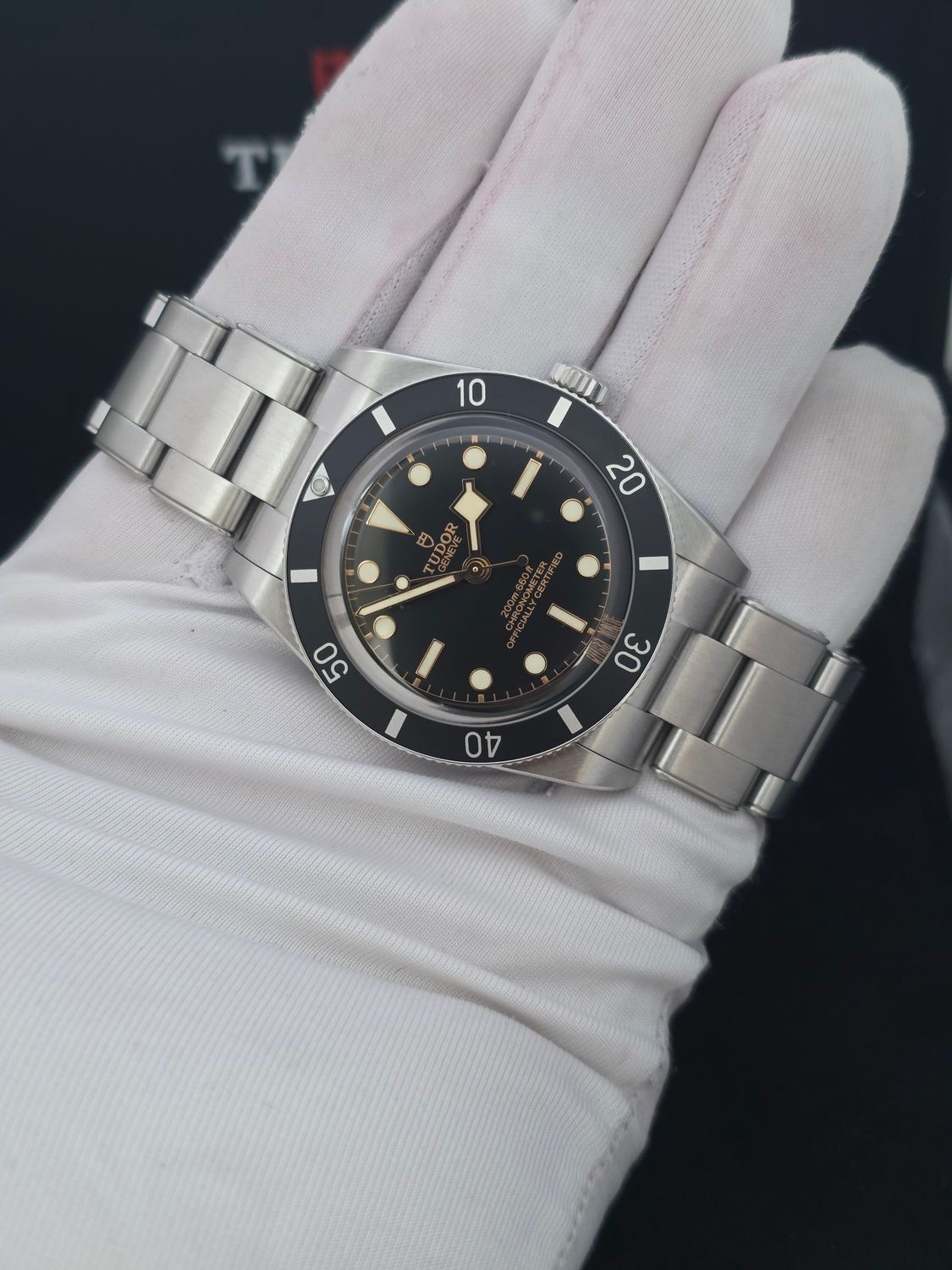 TUDOR Black Bay 54 Black Watch - 79000N, 2025 Full Set, Virtually Unworn