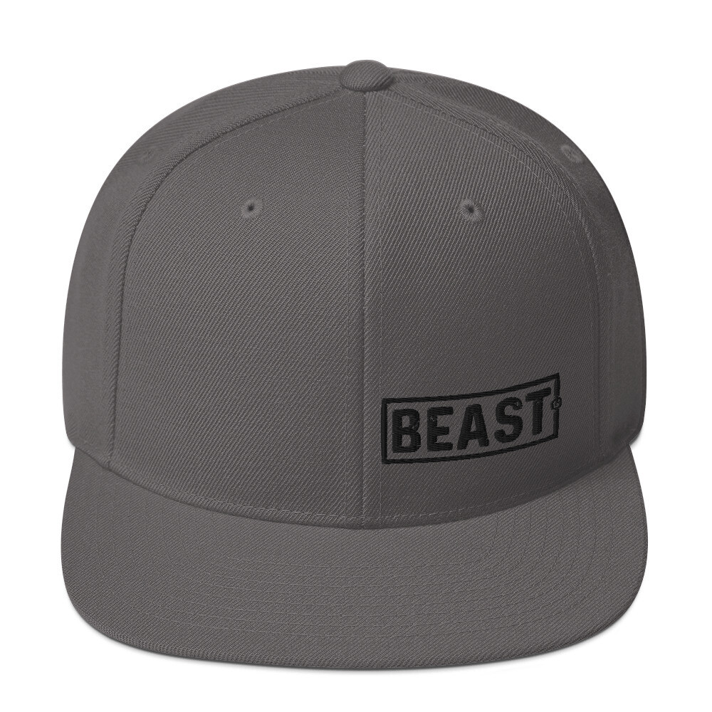 Beast - BEAST Snapback Hat, Color: Dark Grey