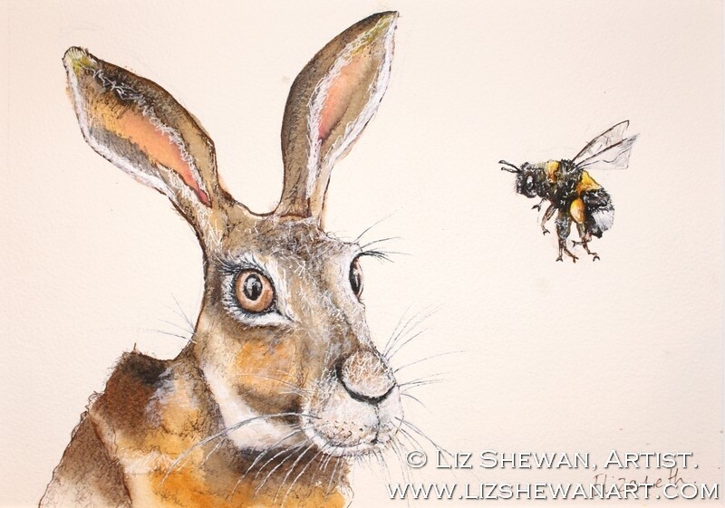 The Hare and the Bee Drawing