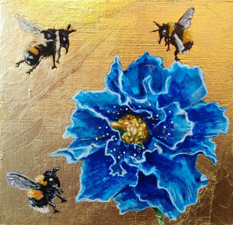 Himalayan Blue Poppy Heaven | Bees Flower