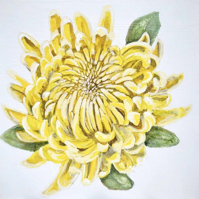 Yellow Crysanthemum - KiKu