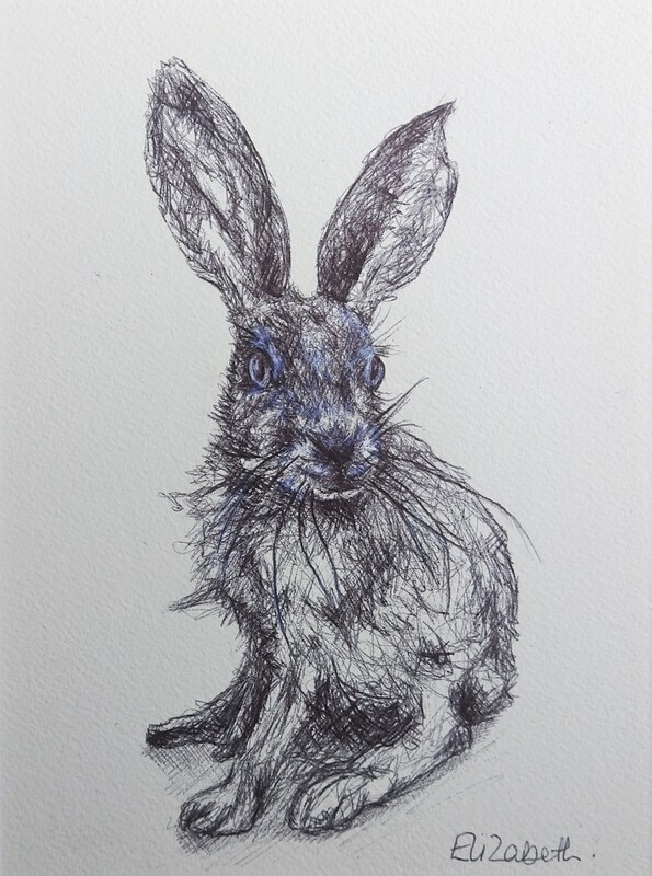 Hare 001 - Black Biro Sketch
