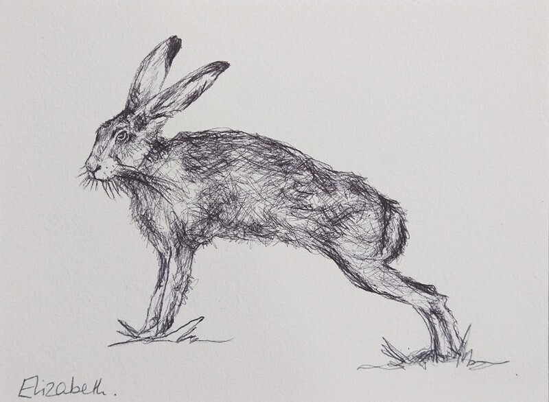 Hare 002 - Black Biro Sketch