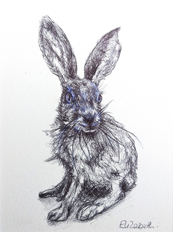 Hare - Black Biro Sketch 001