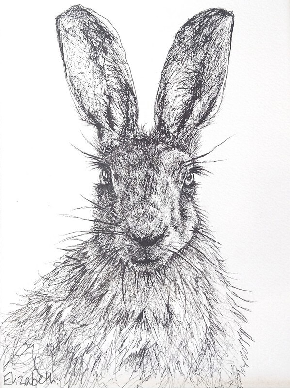 Hare - Black Ink Sketch 012
