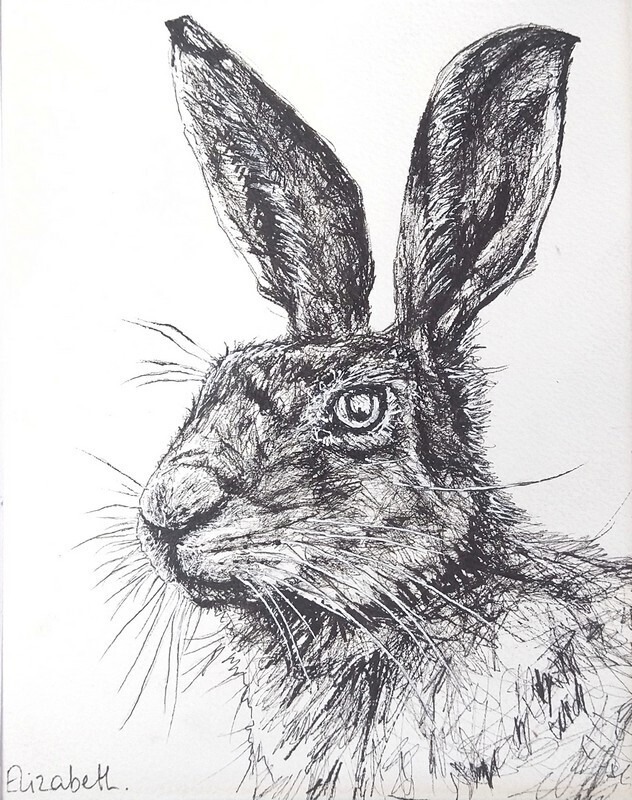Hare - Black Ink Sketch 011
