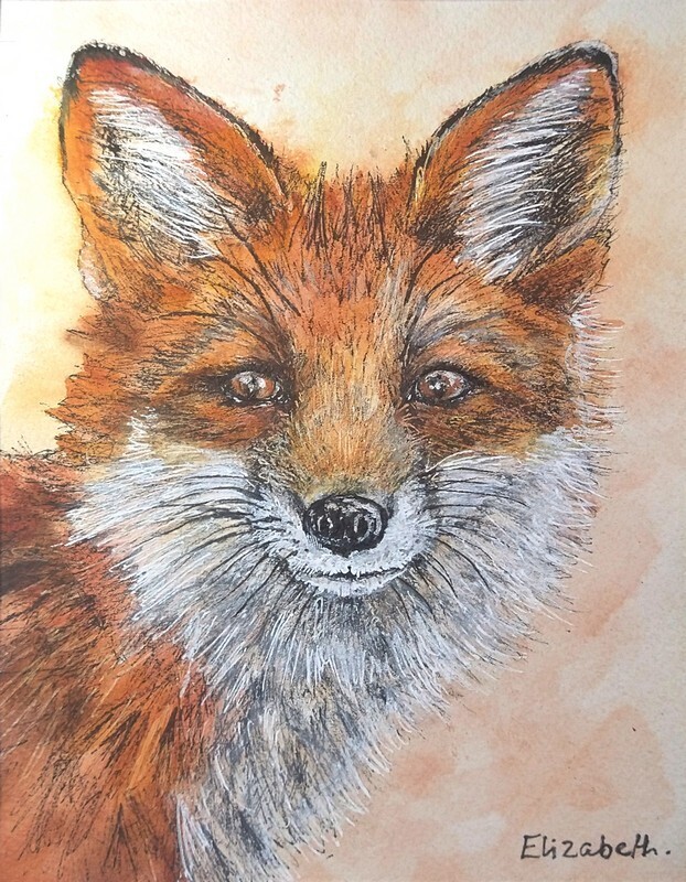 Fox - Black Ink Sketch and Acrylics 016
