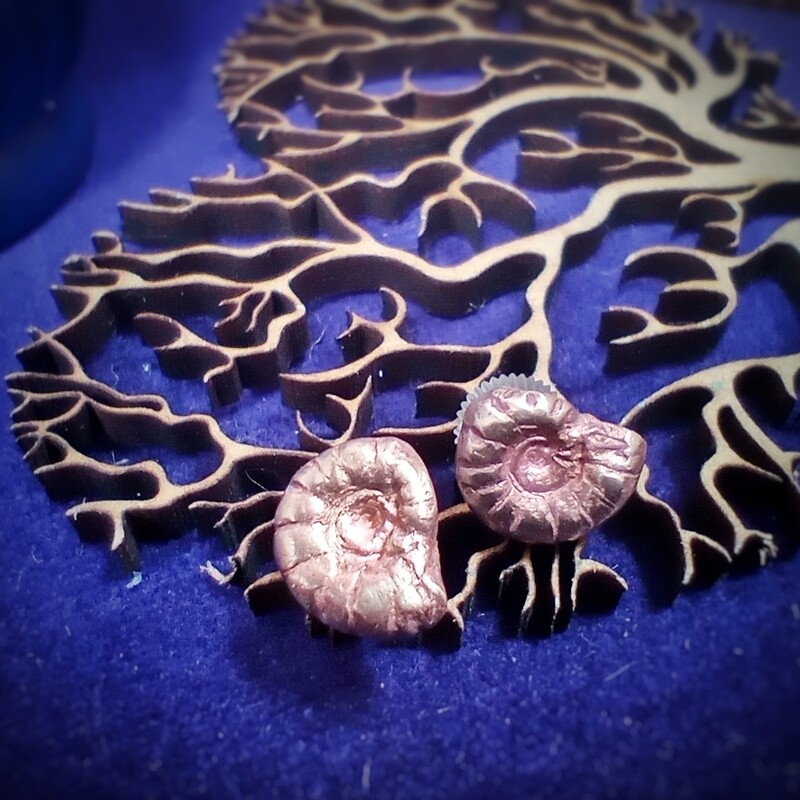 Ammonite Stud Earrings